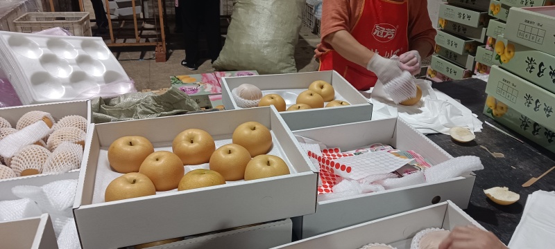 山东莱阳秋月梨