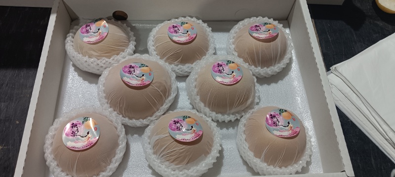 山东莱阳秋月梨
