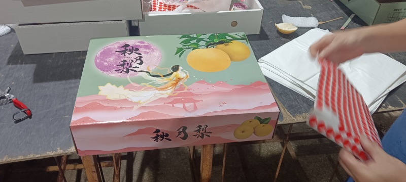 山东莱阳秋月梨
