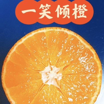 【百人回购】四川爱媛38号/果冻橙/一件代发日供应2万单