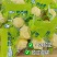 奶疙瘩