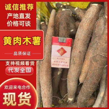 黄肉木薯口感大量上市，全国供应质量保证欢迎新老客户采购