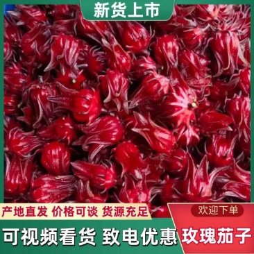 玫瑰茄，也叫红头大量有货量大从优全国发货欢迎来电洽谈