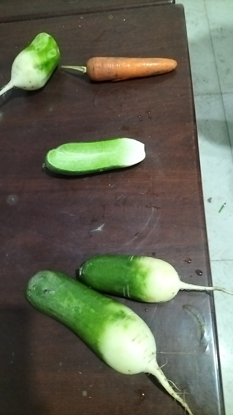 肥城市水果萝卜，冰淇淋萝卜大量上市