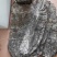 海带长板菜去边去尾海带海带干剪头去尾去边去尾海带片大板菜