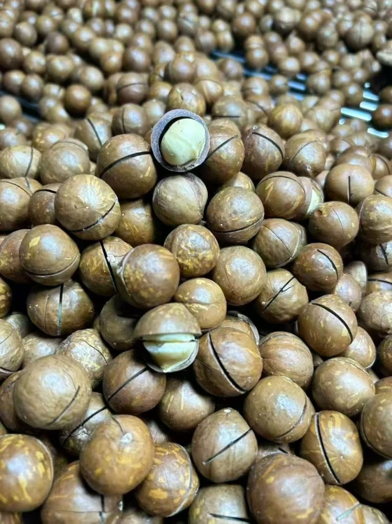 专业夏威夷果供应商
