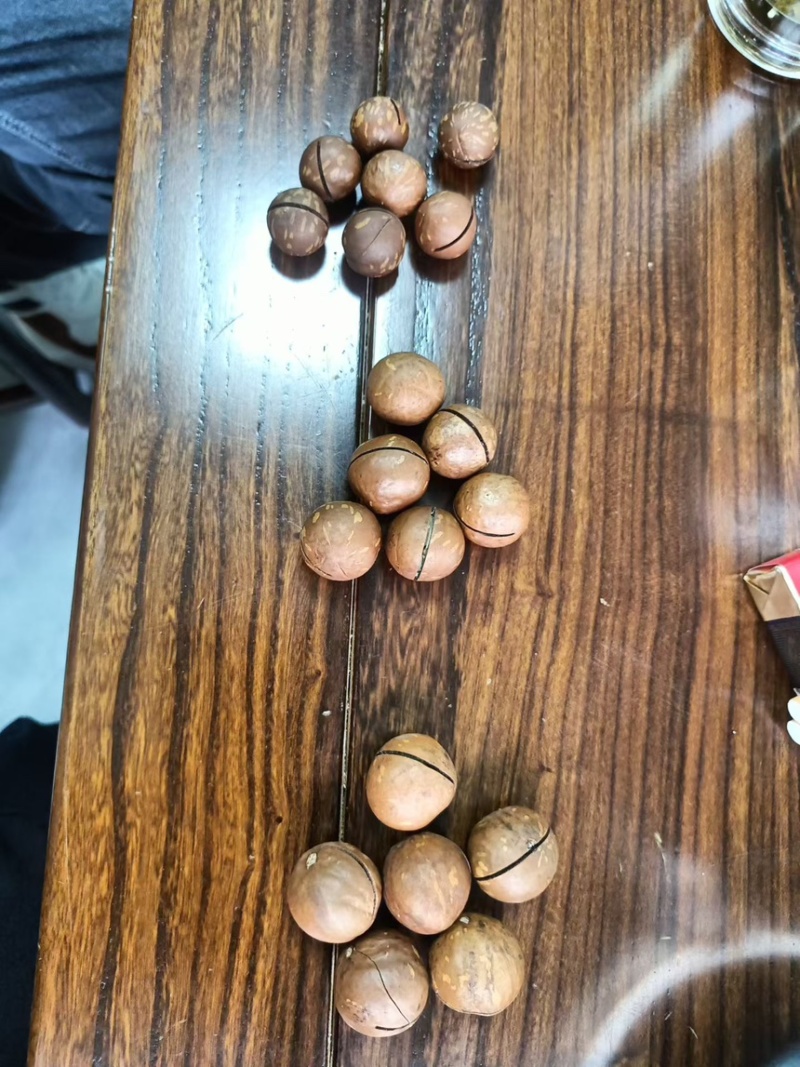 专业夏威夷果供应商