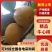 精品牛心柿子大量上市基地供应量大从优质量保证欢迎咨询