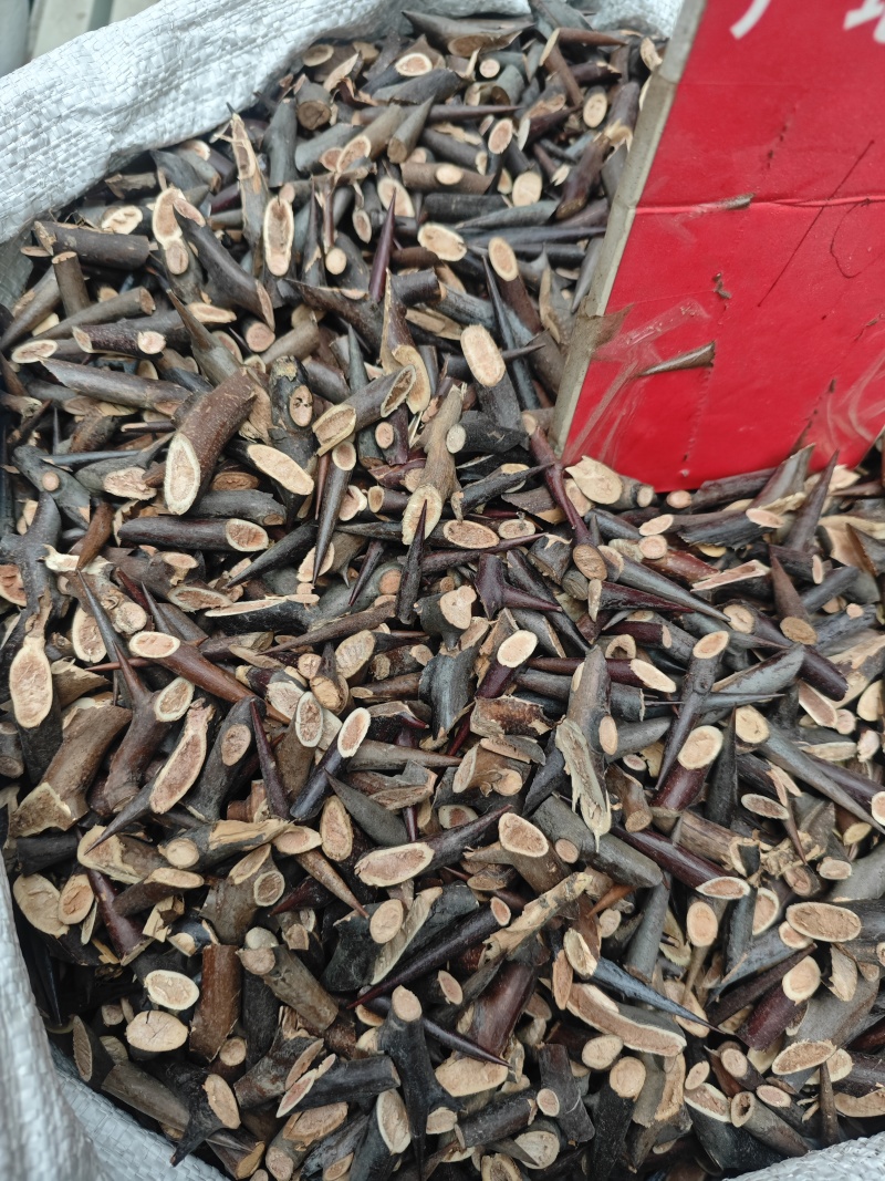 皂刺