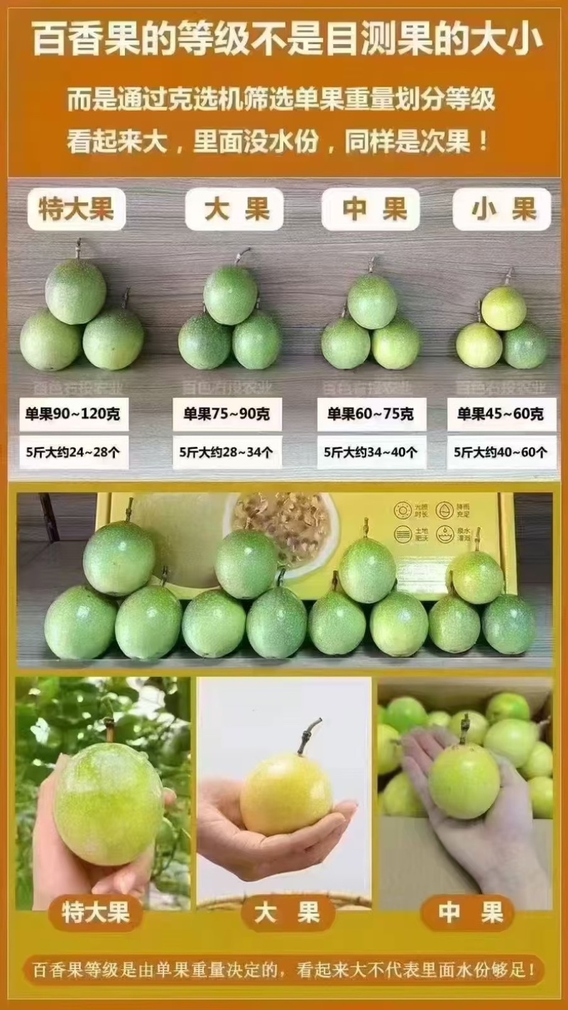 钦蜜九号百香果
