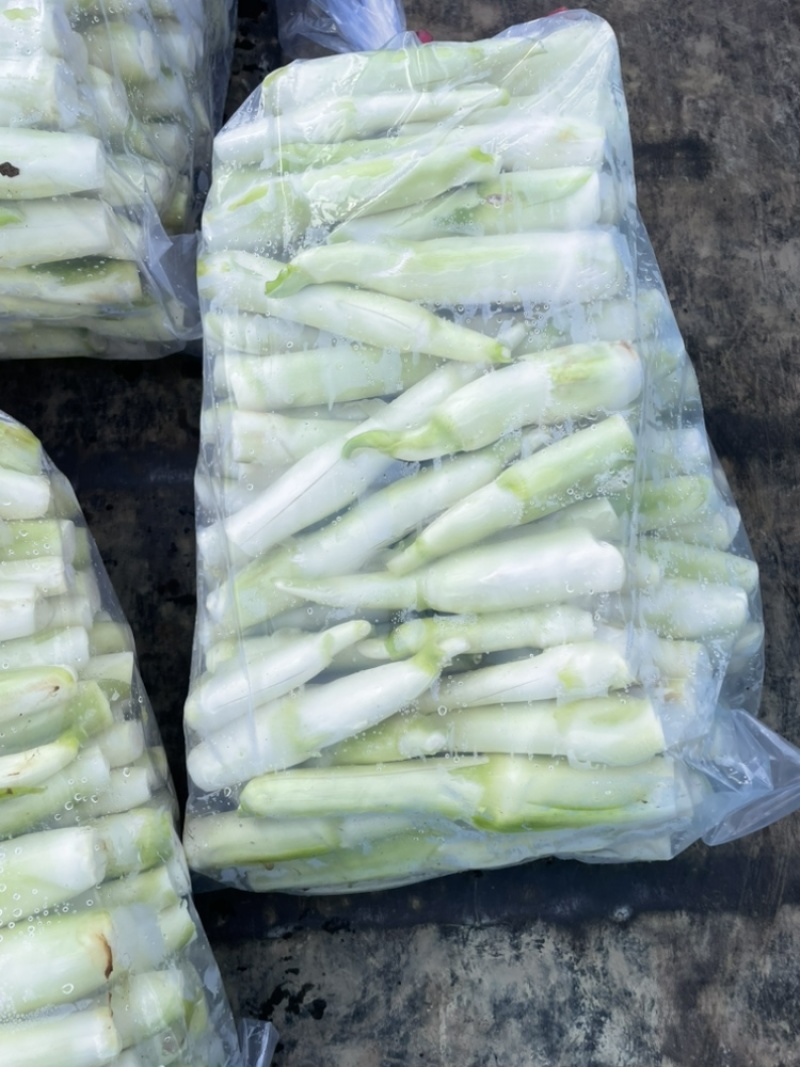 浙江美人茭白肉食堂快餐蔬菜茭白绿色蔬菜