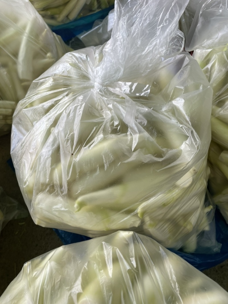 浙江美人茭白肉食堂快餐蔬菜茭白绿色蔬菜
