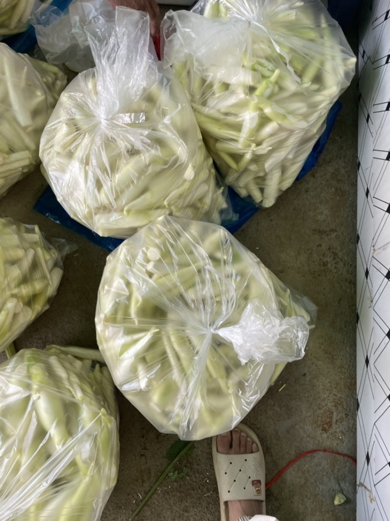 浙江美人茭白肉食堂快餐蔬菜茭白绿色蔬菜