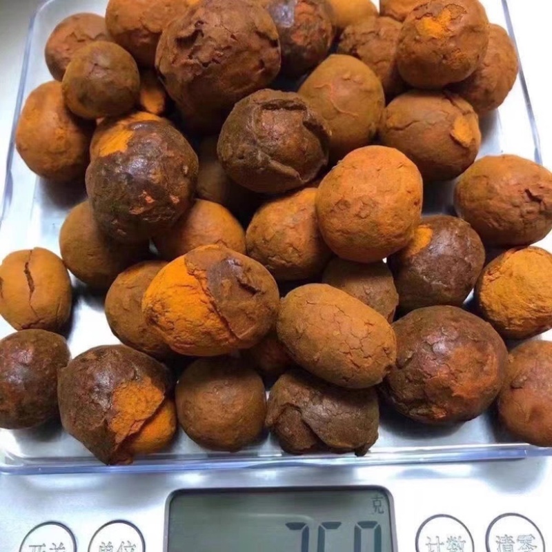 牛黄中药材人工牛黄正宗天然牛黄牛胆黄粉牛结石