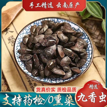 九香虫打屁虫新货无杂质九香虫选货药检品质