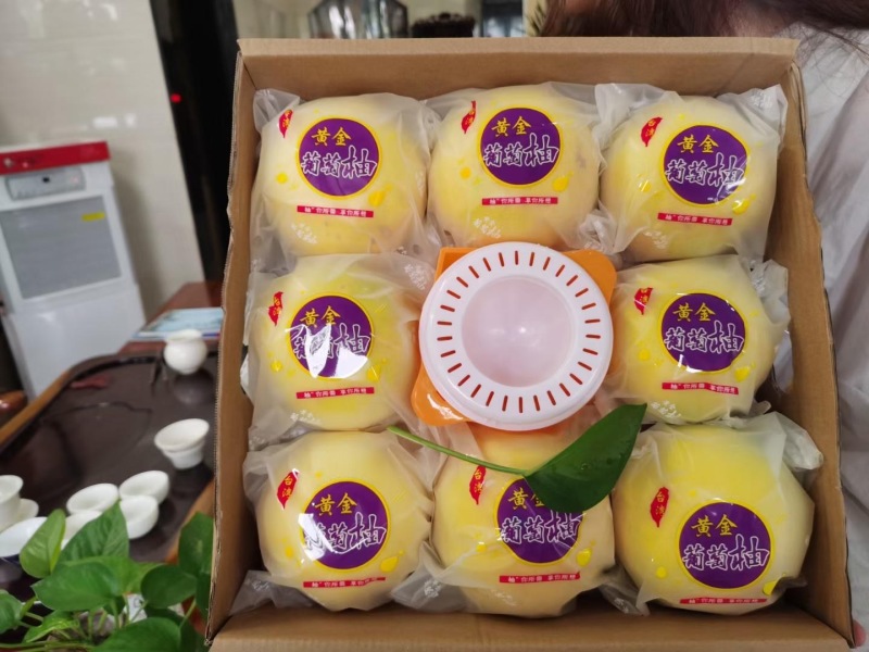 葡萄柚