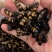 斑鳖虫中药材保质保量一手货源量大从优