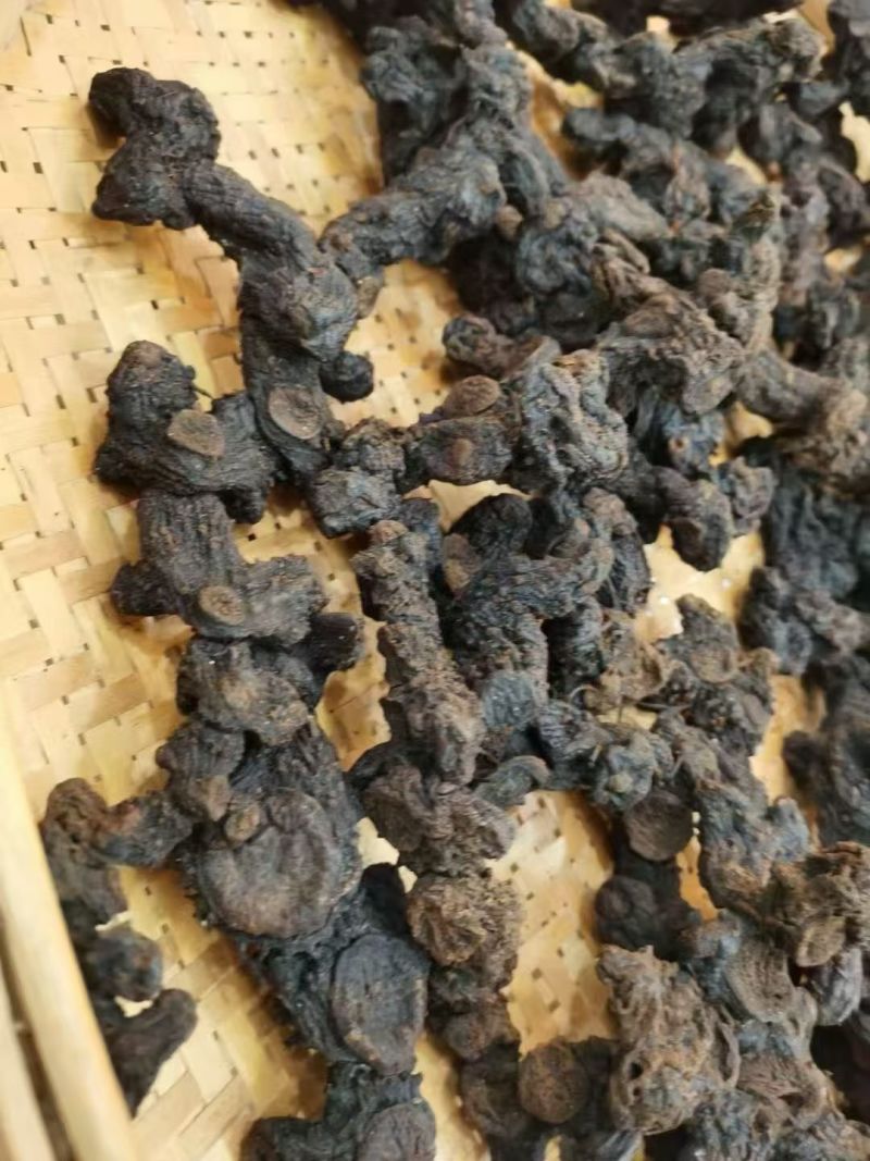 野生黄精
