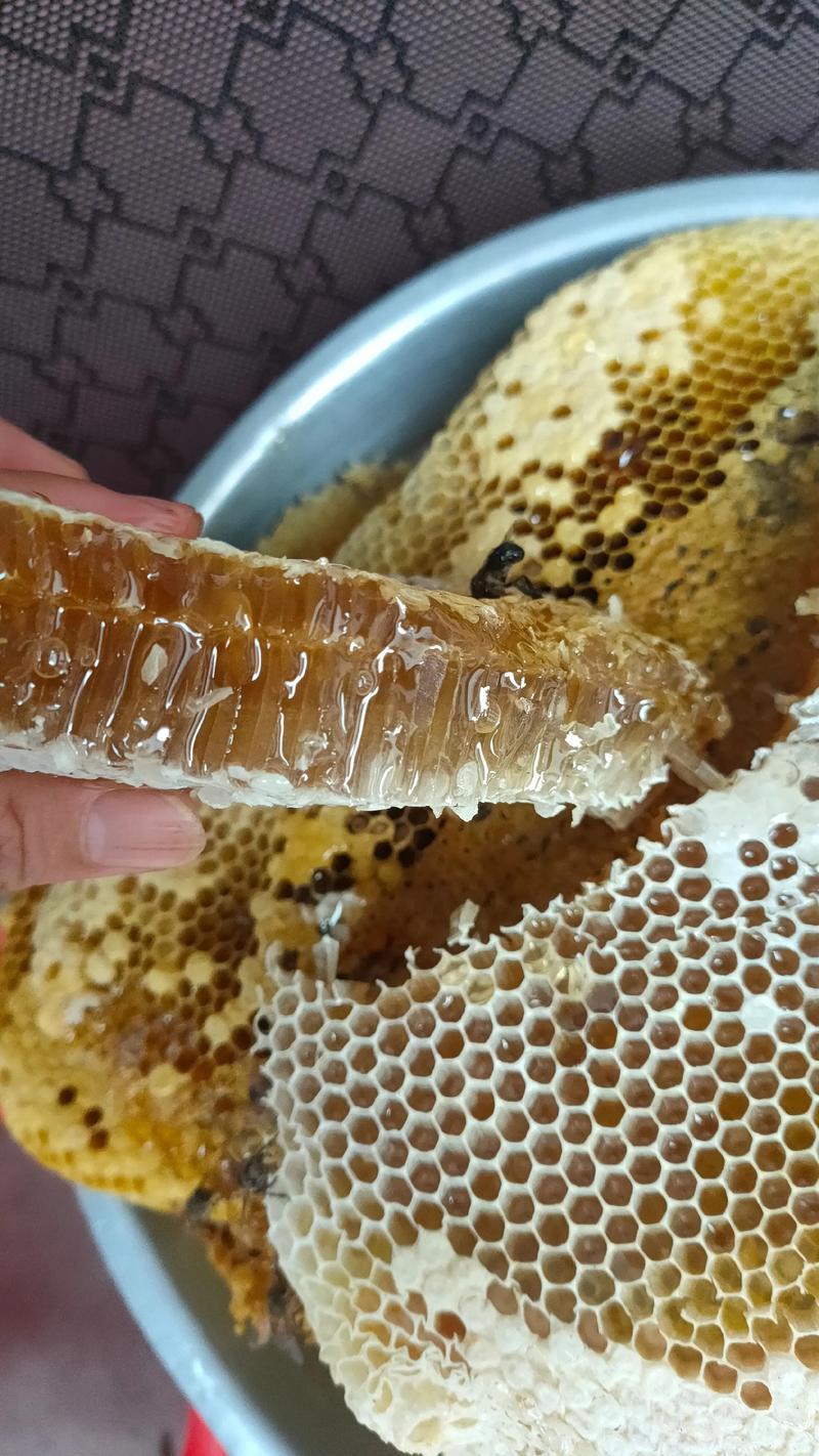 土蜂蜜