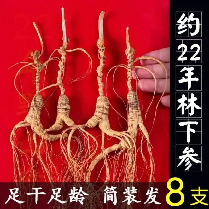 【林下山参】长白山林下参足年老参足干非园子参东北煲汤泡酒