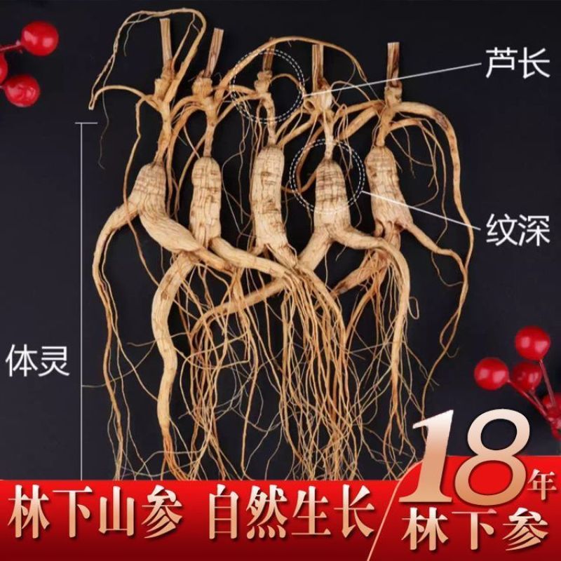 【林下山参】长白山林下参足年老参足干非园子参东北煲汤泡酒