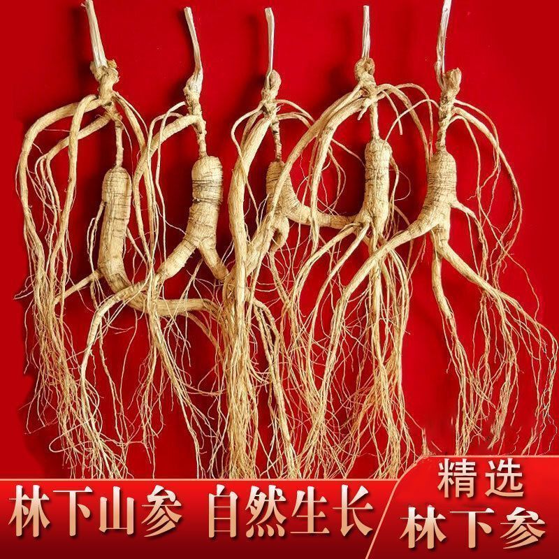 【林下山参】长白山林下参足年老参足干非园子参东北煲汤泡酒