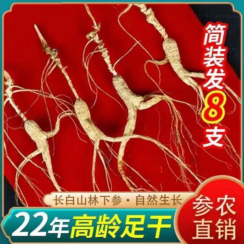 【林下山参】长白山林下参足年老参足干非园子参东北煲汤泡酒