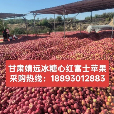 甘肃靖远冰糖心红富士苹果