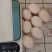 新鲜鸽子蛋