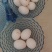 新鲜鸽子蛋