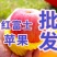 精品山东富士苹果品质保证产地直发价格优惠实力商家