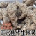 生地河南生地黄生地个保质保量中药材无硫熏生地个