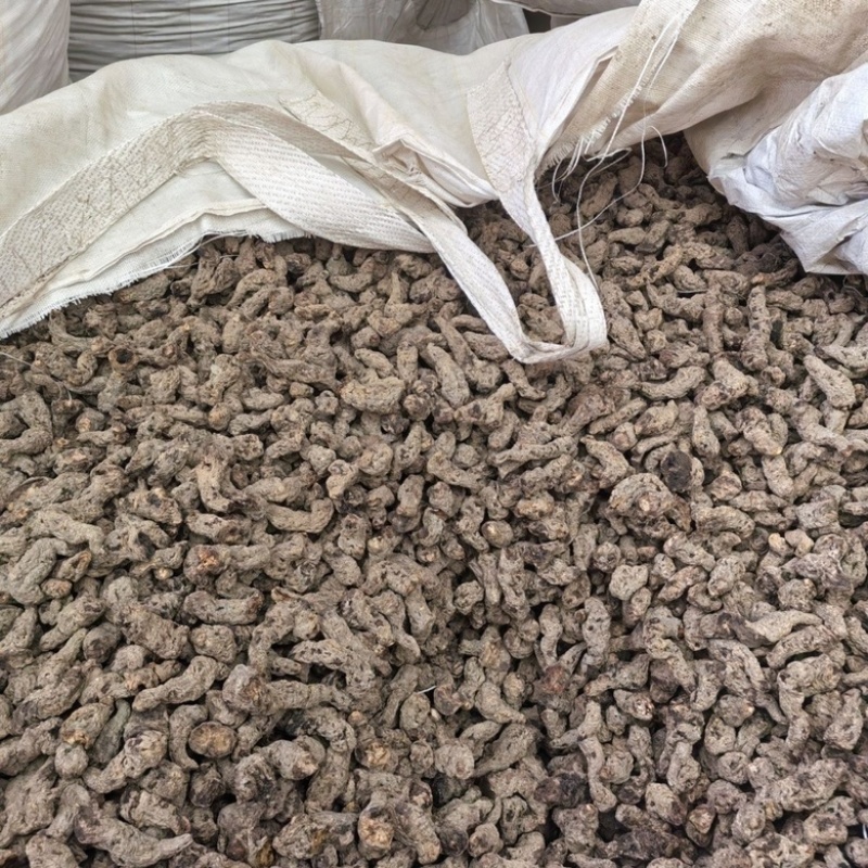 生地河南生地黄生地个保质保量中药材无硫熏生地个