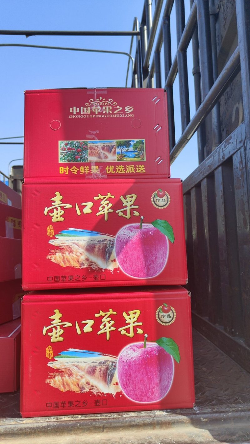 现采现摘的山西吉县红富士苹果
