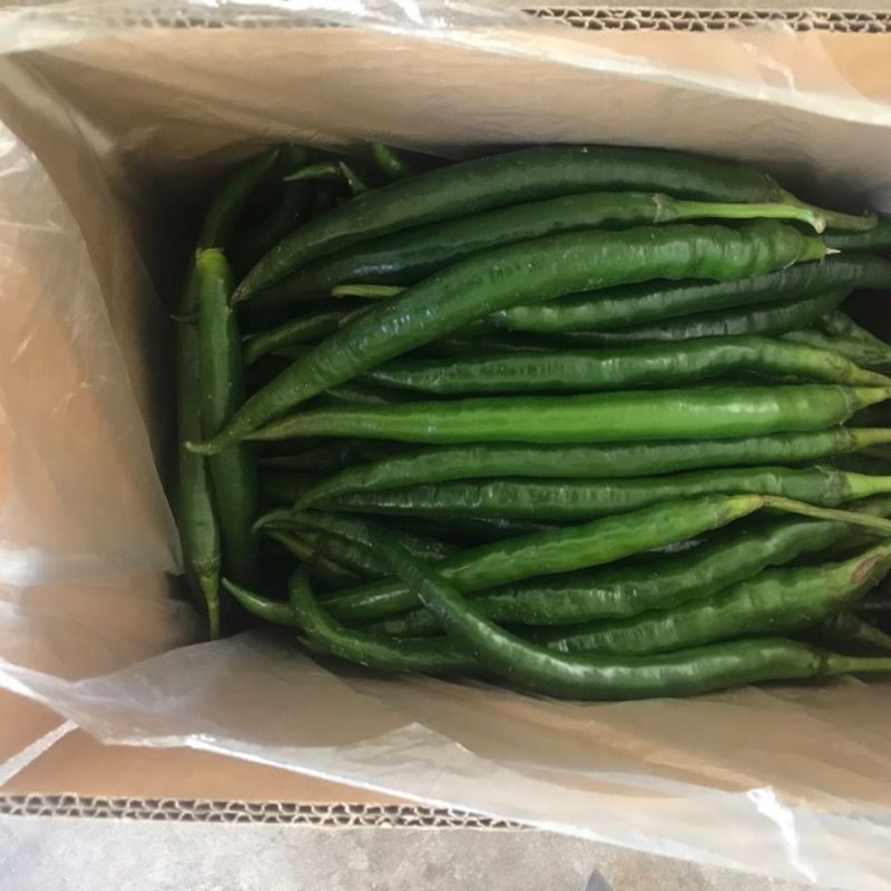 【推荐】陕西渭南精品辣椒大量上市货源充足欢迎咨询