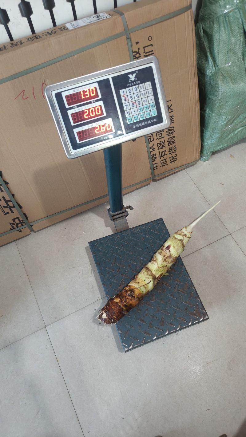 富硒高钙香，商品果。高钙香芋量大，软糯香甜。好吃好吃好吃