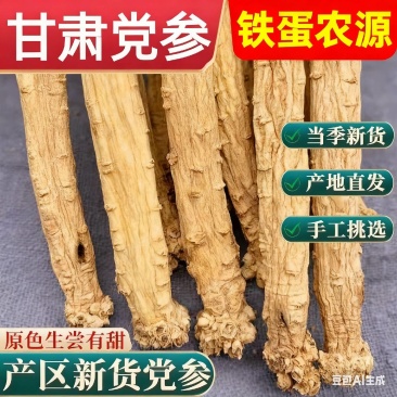 甘肃岷县白条党参、铁无硫、铁蛋农源道地药材、产地直发！