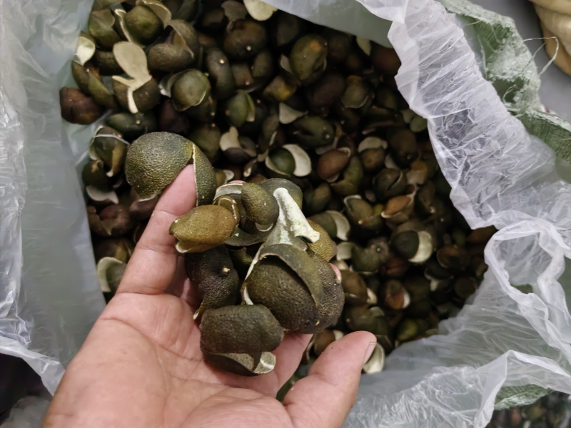 茶枝柑三花青产地直发陈皮24小时在线服务品质保障赶快下单