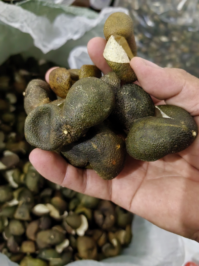 茶枝柑三花青产地直发陈皮24小时在线服务品质保障赶快下单