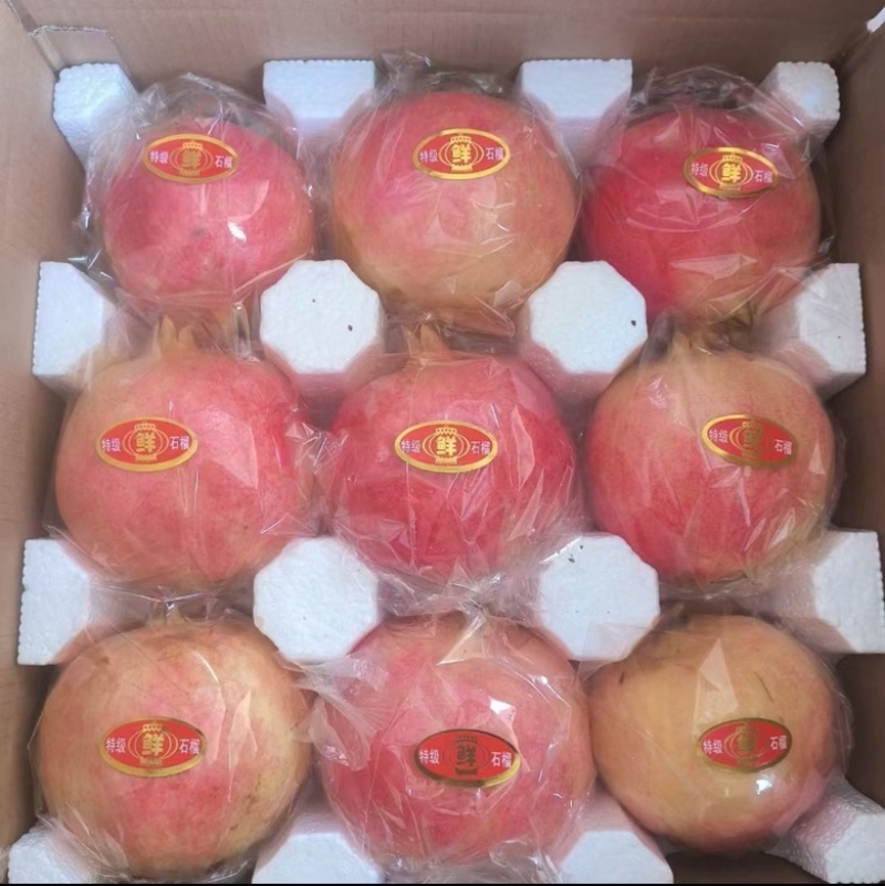 临潼石榴批发量大从优