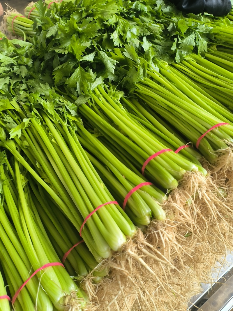 小香芹棵细质量好
