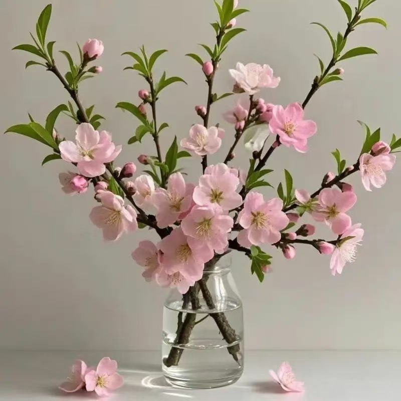 新年装饰桃花枝遇水开花冬季室内水培养干枝