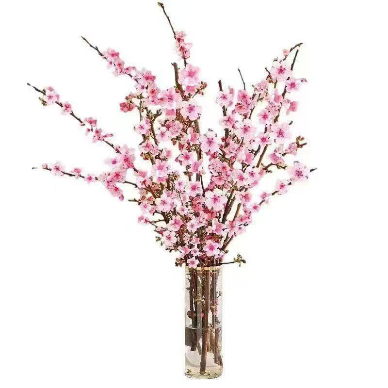新年装饰桃花枝遇水开花冬季室内水培养干枝