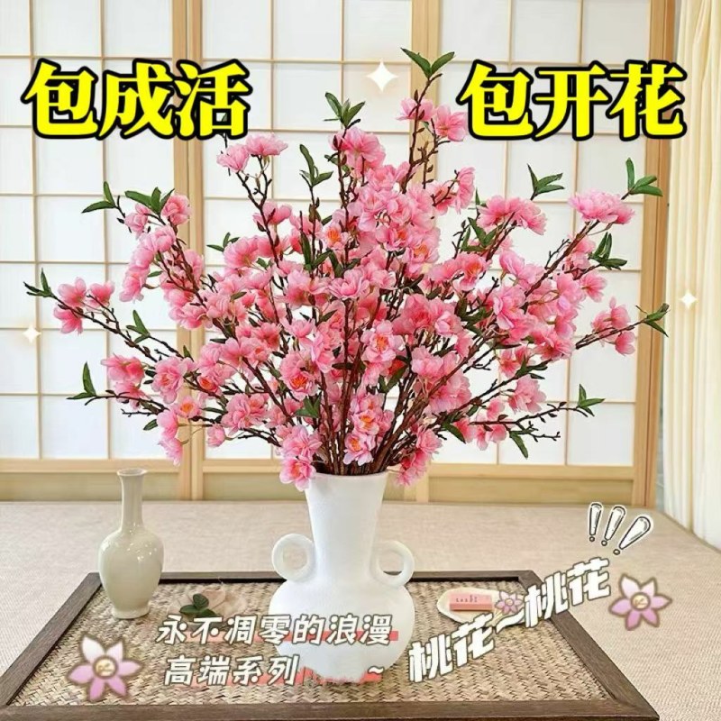 新年装饰桃花枝遇水开花冬季室内水培养干枝