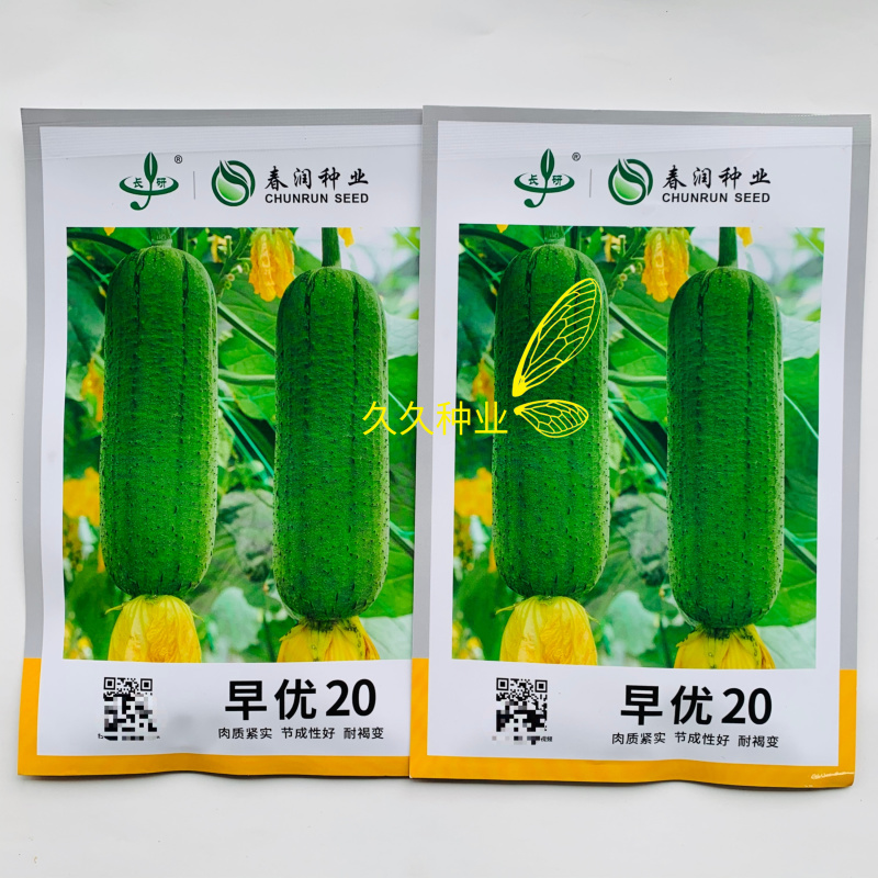 早优20丝瓜种子油亮绿皮短棒肉丝瓜种子味甜清脆短丝瓜种子