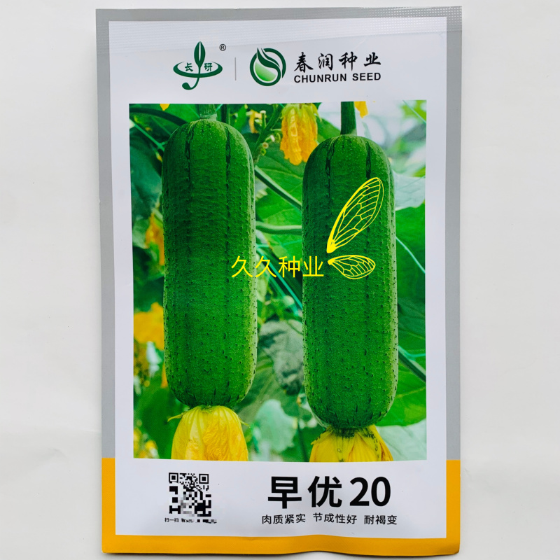 早优20丝瓜种子油亮绿皮短棒肉丝瓜种子味甜清脆短丝瓜种子