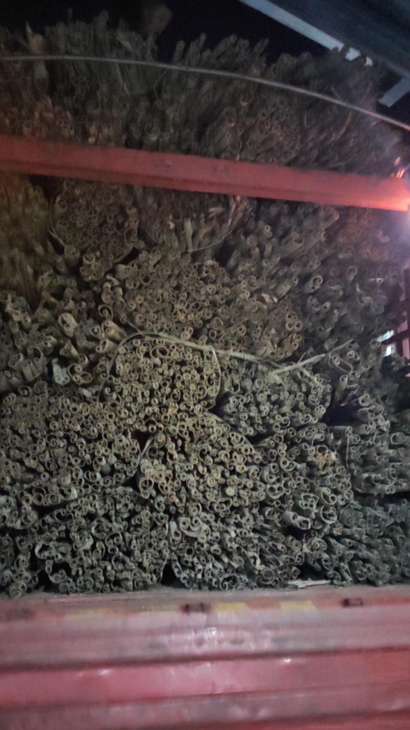 恩施特有高含量紫油厚朴含量3.5以上道地药材产地一手直发