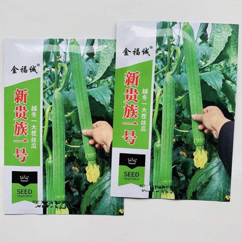 耐寒特长丝瓜种子新贵族一号丝瓜种籽越冬一大茬丝瓜种子高产