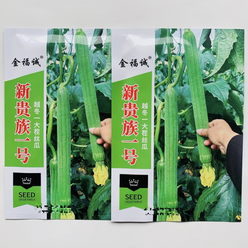 耐寒特长丝瓜种子新贵族一号丝瓜种籽越冬一大茬丝瓜种子高产