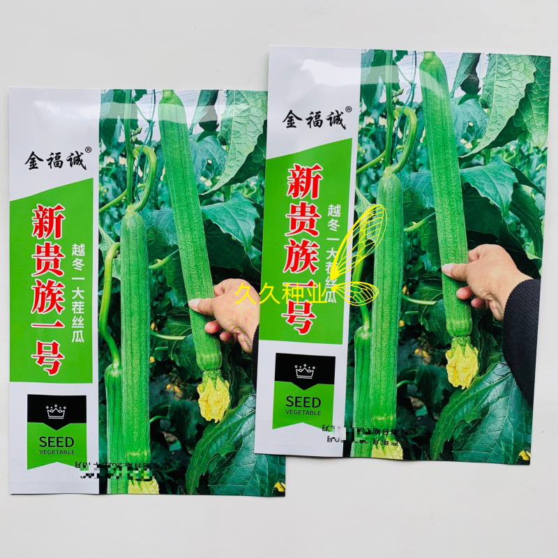 新贵族一号长棒丝瓜种子越冬一大茬丝瓜种子肉厚质硬心腔小